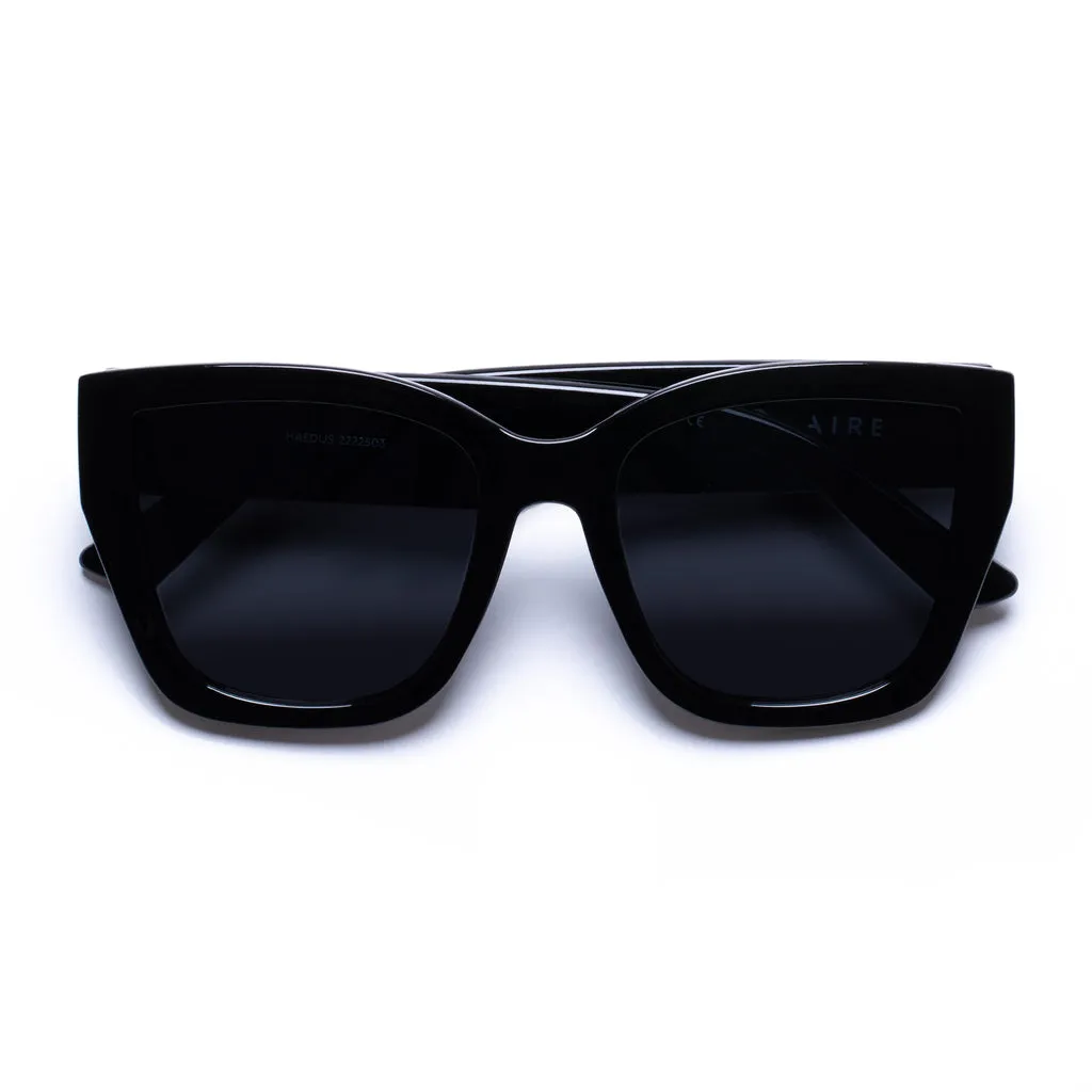 Aire Haedus Sunglasses Black