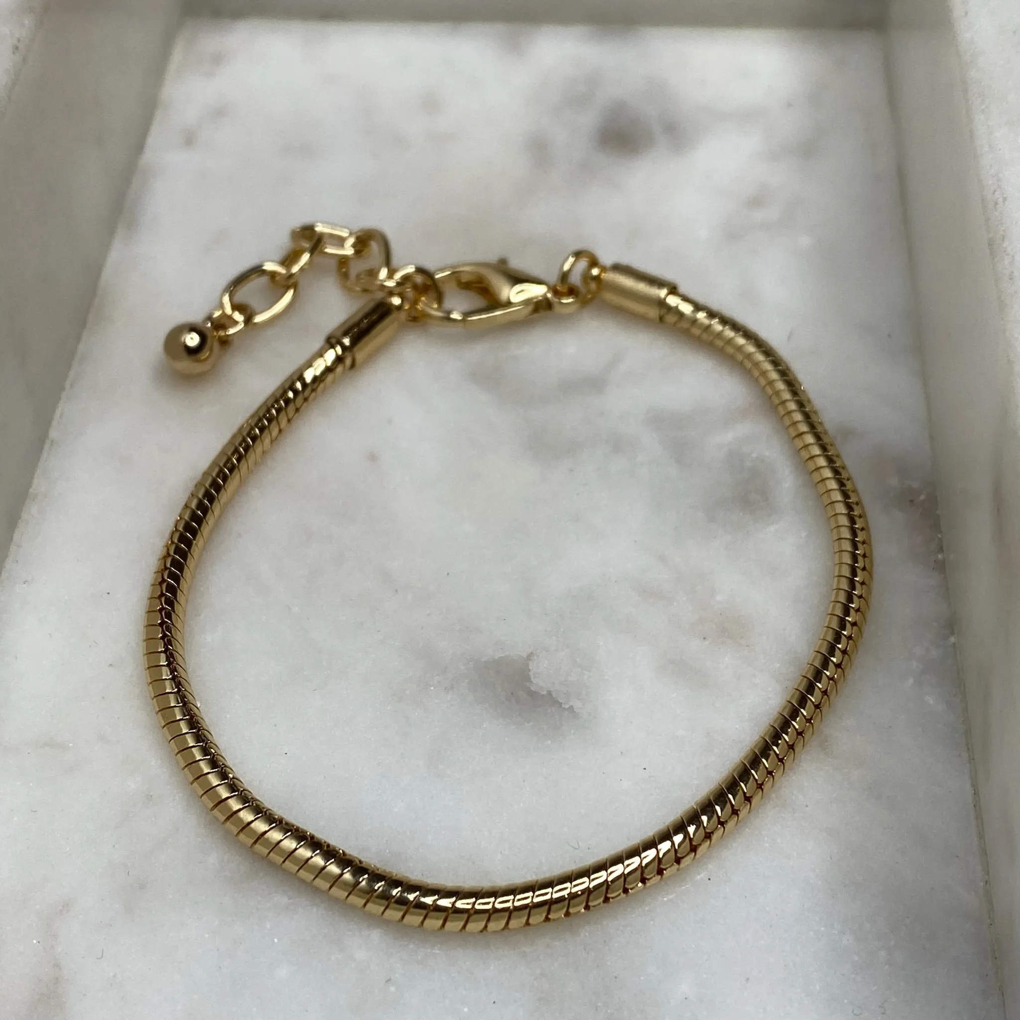 Snake Chain Bracelet